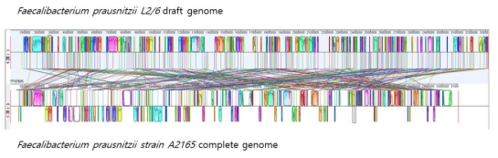 아토피기반 2가지 균주의 genome alignment를 통한 비교 분석