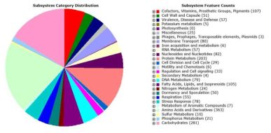 The subsystem category distribution of Lentibacillus sp. CBA3610