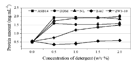 첨가된 Detergent에 따른 막 단백질의 양