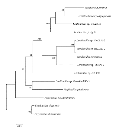 Genome sequnce를 바탕으로 Phylogenic tree