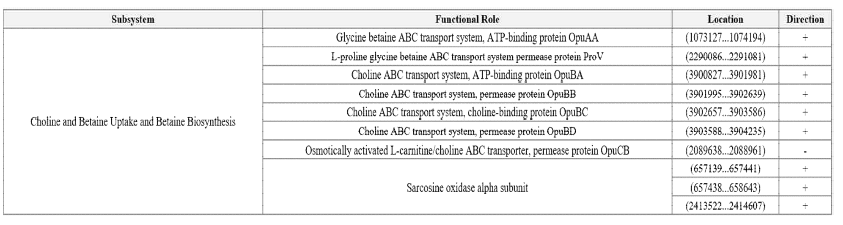 Summary of protein coding sequences - Stress Response; Choline and Betaine Uptake and Betaine Biosynthesis