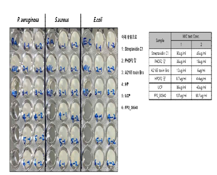 후보 단백질 6종의 MIC 실험 결과