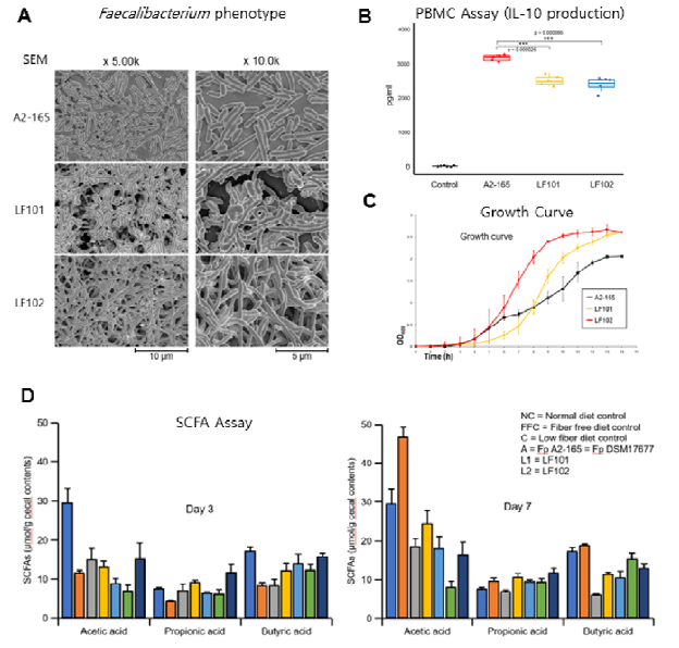 선별된 질환 관련 Faecalibacterium prausnitzii 스트레인의 기초 연구