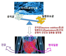 장내미생물 불균형과 현대질환과의 관계 개념도