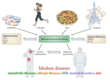 장내미생물 불균형의 원인과 현대질환과의 관계 (Illustration adapted from Sommer and Backhed. 2013. Nature Reviews. 11: 227-238)