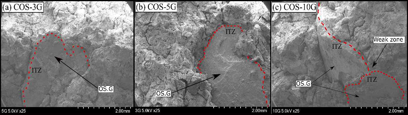 SEM images of COS-3G, COS-5G, and COS-10G samples on the 28thday