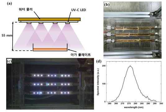 (a) UV-C led를 이용한 아가 플레이트에 배양된 박테리아 또는 플라스틱 플레이트 위 바이러스 살균 실험 개략도, (b) 실험 사진, (c)작동 중인 UV-C led 모듈, (d) 측정된 UV-C led의 발광 스펙트럼