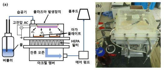 (a) 플라즈마를 이용한 아가 플레이트에 배양된 박테리아 또는 플라스틱 플레이트 위 바이러스 살균 실험 개략도와 (b) 실험 사진