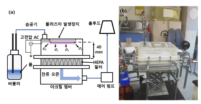 (a) 플라즈마를 이용한 접종된 HEPA 필터 살균 실험 개략도와 (b) 실험 사진