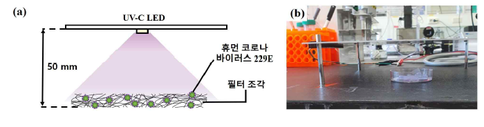 (a) UV-C led를 이용한 필터 조각에 접종된 휴먼 코로나 바이러스 229E 살균 실험 개략도와 (b) 실험사진