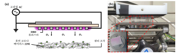 (a) 플라즈마를 이용한 필터 조각에 접종된 휴먼코로나 바이러스 229E 살균 실험 개략도와 (b)실험 사진