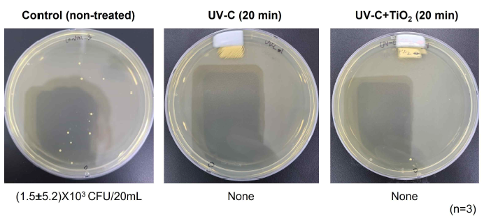 UV-C와 UV-C+TiO2를 이용한 HEPA 필터에 접종된 S. aureus 살균 결과 사진