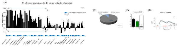 (A) 꼬마선충의 후각, 미각물질 후보들의 화학감각 선호도를 실험하였을 때, 선충들이 13가지의 물질들의 특정농도를 감지하고 선호도를 보이는 것을 확인. (B) 특정 후각뉴런이 발달되지 못한 돌연변이들의 행동실험 결과 11가지 물질들에 대한 반응에 AWC뉴런이 필요한 것을 확인함 (C) 1-propanol에 대한 행동실험결과 (D) in vivo 칼슘이미징. 1-propanol에 의해서 AWC뉴런이 반응함