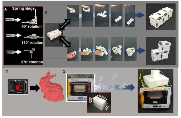 (A) 시중의 스프링 힌지를 개량하여 제작된 3가지 접힘 각도의 힌지. (B) 동일 적층 패널에 제작된 힌지를 알고리즘을 통해 얻을 위치에 삽입하여 전개한 서로 다른 2가지 형태의 모습 (C) 제한된 3D프린터의 출력 공간을 상회하는 3차원 구조 제작 방법론 예시 및 (D) 실험을 통한 간단한 입증