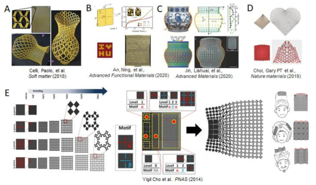 (A) 미국 캘리포니아 공대 Chiara Daraio 교수 연구진과 (B-C) 미국 하버드대학 Katia Bertoldi 교수 연구진이 발표한 바 있는 형상 제어 방법론. 재료의 재단(Cutting)을 통한 패턴 형성 방법으로 최종 형상를 설계하는 방법론을 제시하였으나, 디자인 룰이 확립되지 않아 단순 시행착오법 (Trial and error)에 의해 설계되는 단점이 있음. (D) 미국 하버드대학 Mahadevan 교수 연구진이 제시한 알고리즘을 통한 형상 제어 결과. (E) 본 연구수행자가 속한 연구진이 2014년 제시한 바 있는 프랙탈 컷 패턴을 통한 형상 제어 방법론