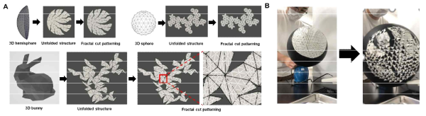 (A) 알고리즘을 이용한 프랙탈 컷 패턴이 삽입된 곡면에 부착 가능한 전개도 및 (B) 간단한 컨셉 검증 시연 모습. 모체를 빈 틈 없이 감싸면서도 모체의 변형을 수반할 수 있음
