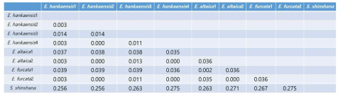 Empoasca altaica, E. furcata, E. hankaensis의 개체별 유전적 거리