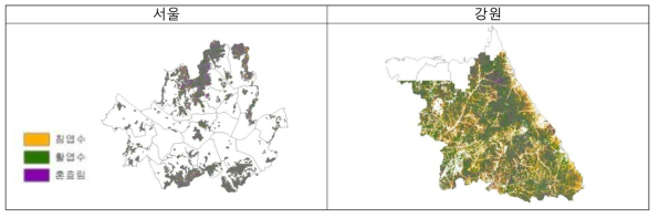 서울과 강원도 산림의 임상별 분포면적