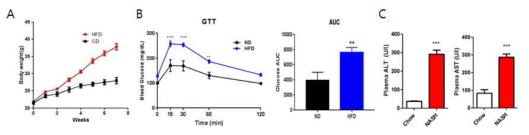 HFD/HFHFr induced NAFLD animal model 구축