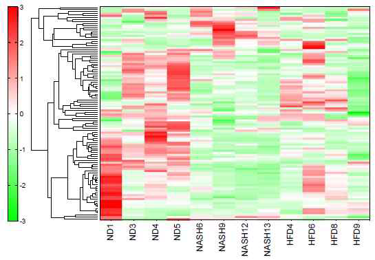 Heat map representation of metabolome profiles analyzed by hierarchical clustering analysis