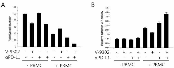 V-9302, anti-PD-L1 항체가 암세포의 증식과 사멸에 미치는 영향