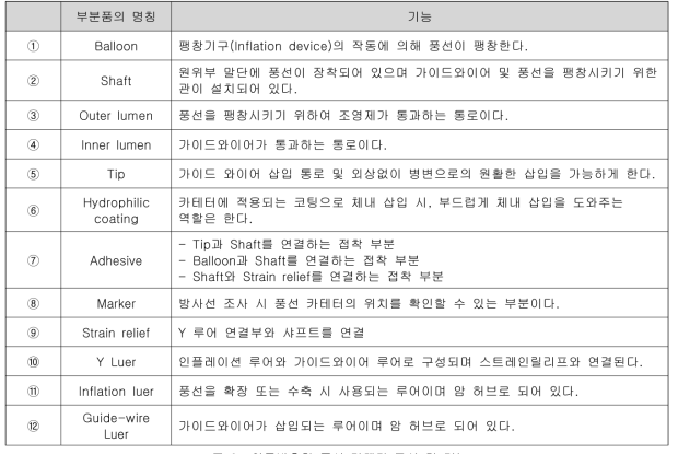 약물방출형 풍선 카테터 구성 및 기능