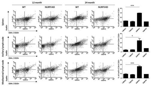 노화 마우스에서 Regulatory T cell의 발현 변화 분석