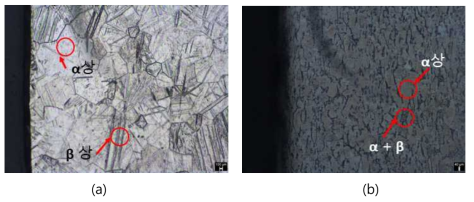 레이저 피닝 처리한 (a) Ti 및 (b) Ti-6Al-4V 합금 단면의 미세조직