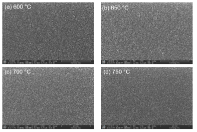 다결정화 실리콘 표면 SEM 이미지. (a) 열처리 온도 600°C, (b) 650°C, (c) 700°C, (d) 750°C 시료