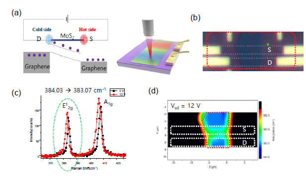 Graphene/MoS2/graphene 소자에서 graphene/MoS2 계면에서의 펠티에르 현상 관측