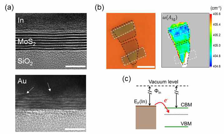 (a) 위, 아래 그림: In/MoS2와 Au/MoS2 계면에서의 TEM 이미지. (b) In/MoS2 계면에서의 라만 스펙트럼. (c) In/MoS2 계면에서의 전자 이동 개념도
