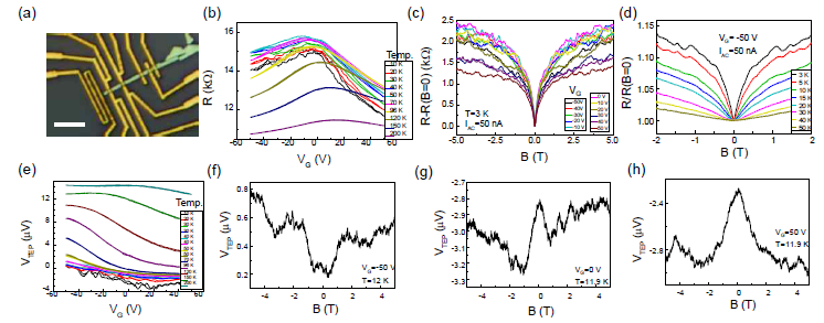 (a) BSTS 소자 광학 현미경 이미지 (스케일바: 5 μm). (b)-(d) BSTS 소자의 게이트, 온도, 및 자기장에 따른 저항 변화 결과. (e)-(h) BSTS 소자의 게이트, 온도, 자기장에 따른 열전 전압 (VTEP) 변화 결과