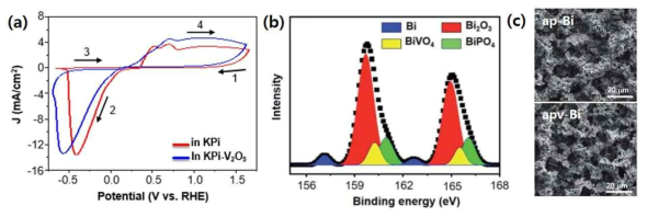 (a) Electrolyte 종류에 따른 Cyclic voltammetry 전처리, (b) Bi 원소 XPS 분석 결과, (c) SEM 분석을 통한 전극 형태 분석