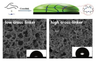전극 표면 유기물 증착 과정 및 Cross-linker 밀도에 따른 친/소수성 제어