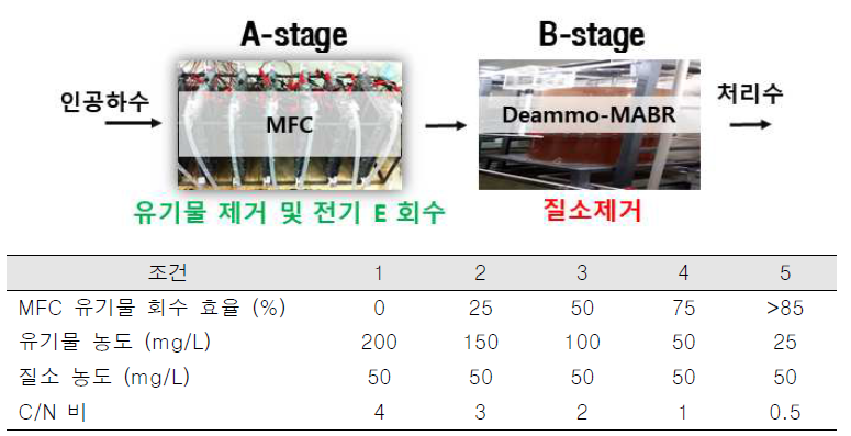 MFC와 Deammo-MABR 연계 공정 모식도