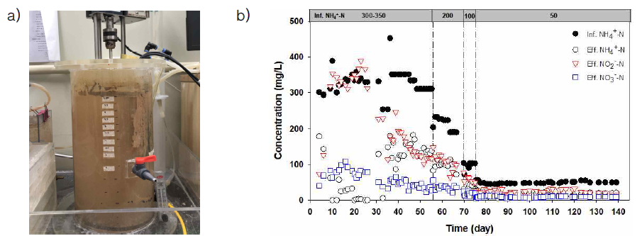 a) 부분아질산화 반응기, b) 암모늄, 아질산염과 질산염 농도 변화