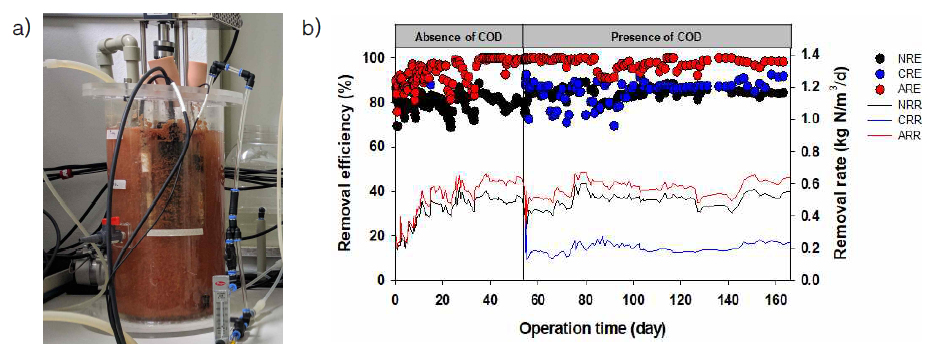 a) 분리막이 적용되지 않은 탈암모니아 반응기, b) 질소제거효율 및 질소제거속도 * NRE :Nitrogen Removal Efficiency, ARE : Aammonium Removal Efficiency, CRE : COD Removal Efficiency * NRR :Nitrogen Removal Rate, ARR : Ammonium Removal Rate , CRR : COD Removal Rate
