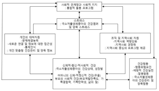 프로그램 개발을 위한 이론적 틀