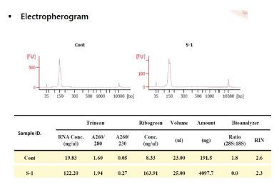 exosomal RNA 분리