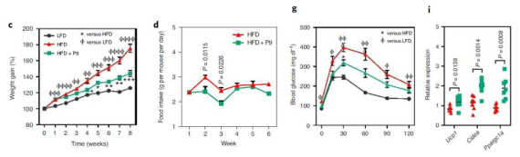 고지방식이 모델에서 P9 단백질에 의해서 변화하는 체중 증가, 식이 섭취량, 혈중 당 변화 및 인슐린 저항성, 지방세포 열 생성 유전자 변화 확인