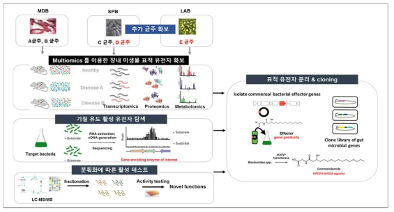 장내 미생물 활성 유전자 탐색 전략