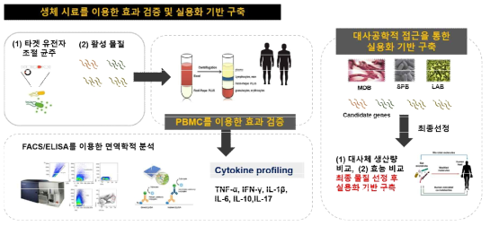 생체 시료를 이용한 효과 검증 및 실용화 기반 구축