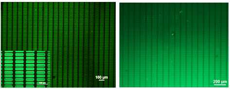 (왼쪽) PDMS mold의 플라즈마 처리 및 (오른쪽) 광가교 리간드 전사를 통해 구현된 양자점 패턴의 형광 현미경 이미지