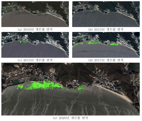 2010년부터 2020년까지의 강화도 동막해변의 갯끈풀 면적 확산 양상