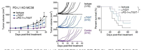 PD-1 저해제 불용성 PD-L1 KO 암미세환경에서 TIGIT 항체 투여 또는 병용 항체 투여의 효과