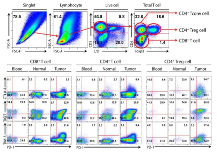 폐암환자 혈액, 정상조직, 암조직에서 T세포 아형별 면역체크포인트 분자 발현 검증
