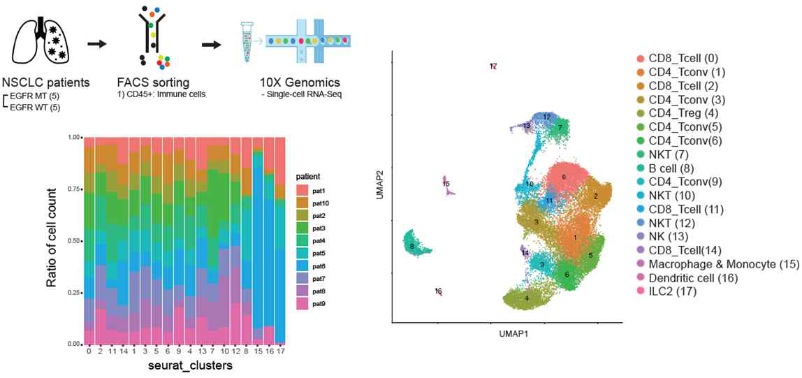 비소세포폐암 환자 암조직내 면역세포에 대한 단일세포 전사체 생산과정 및 면역세포 클러스터 형성