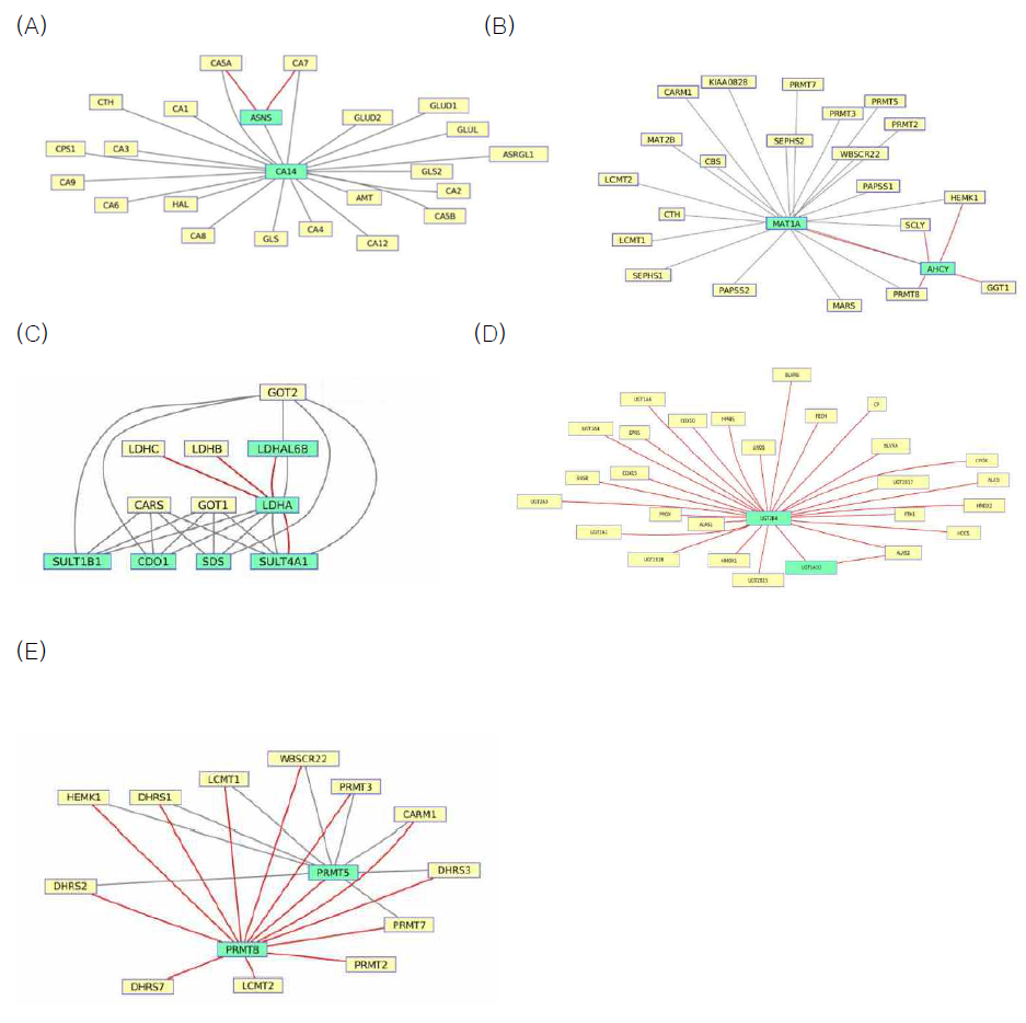 drug와 pathway에 따른 네트워크 모형 (A) LY294002와 Nitrogen metabolism pathway, (B) Valproic Acid와 selenoamino acid metabolism pathway, (C) Sirolimus와 Cysteine metabolism pathway, (D)Trichostatin 과 Porphyrin chlorophyll metabolism pathway, (E) Wortmannin과 Naphthalene and Anthracene degradation pathway