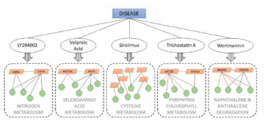 Portential systemic interactions via pathways which imply systemic drug influence. The red and black lines represent inhibition and activation, repectively