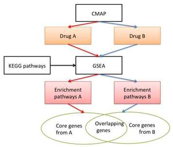 Schematic flowchart